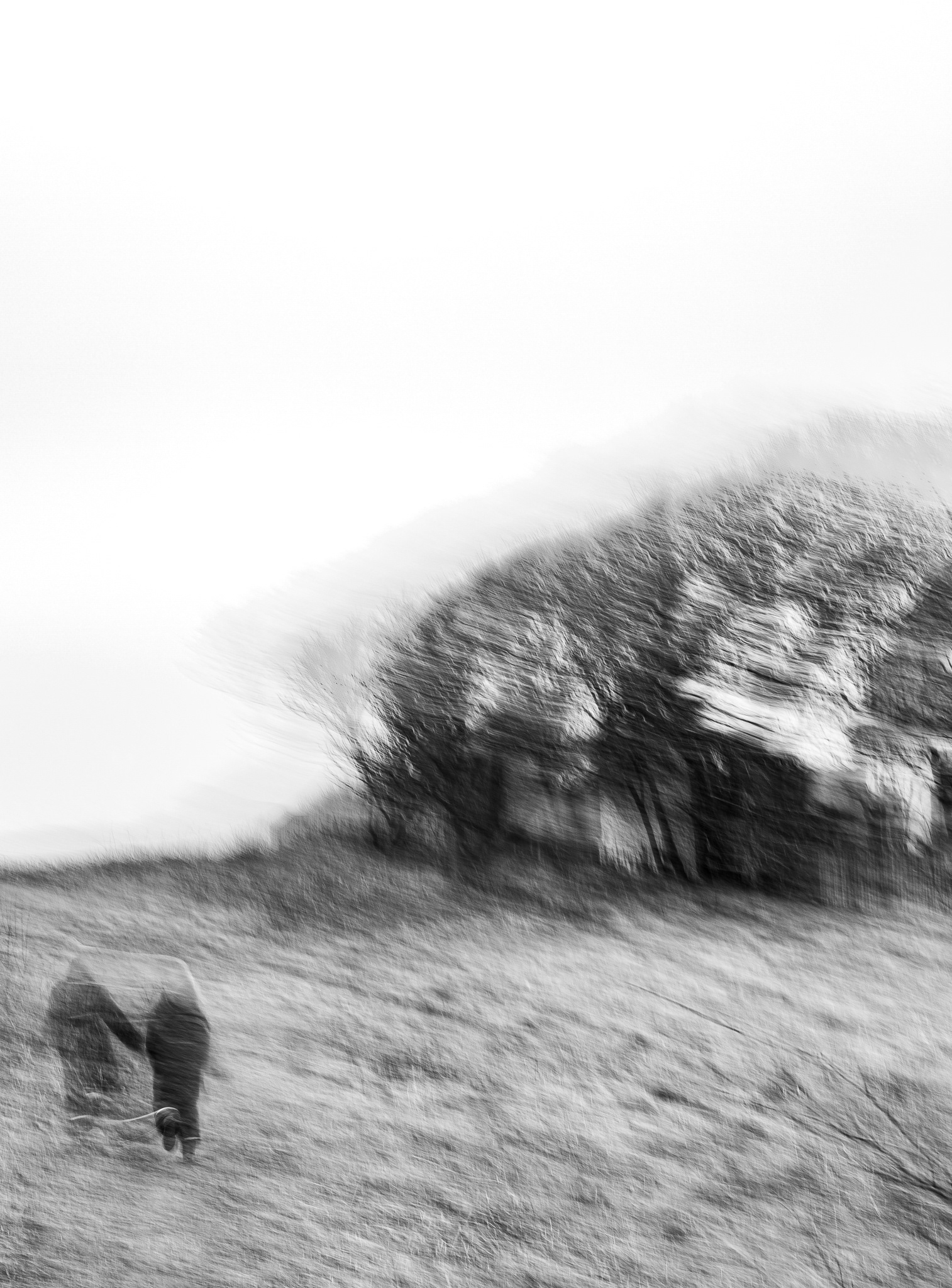 Path Finder II