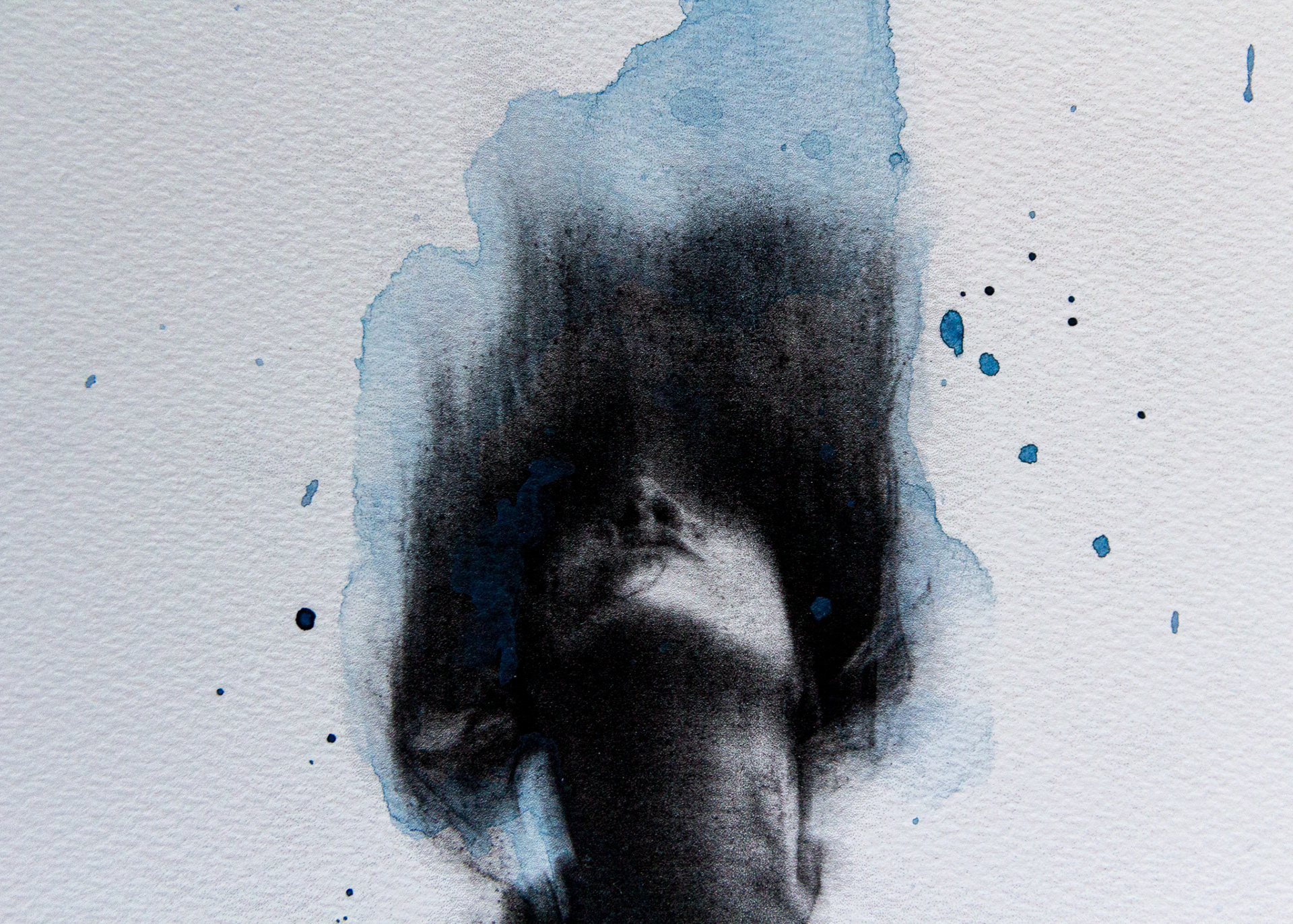Indigo Motion
