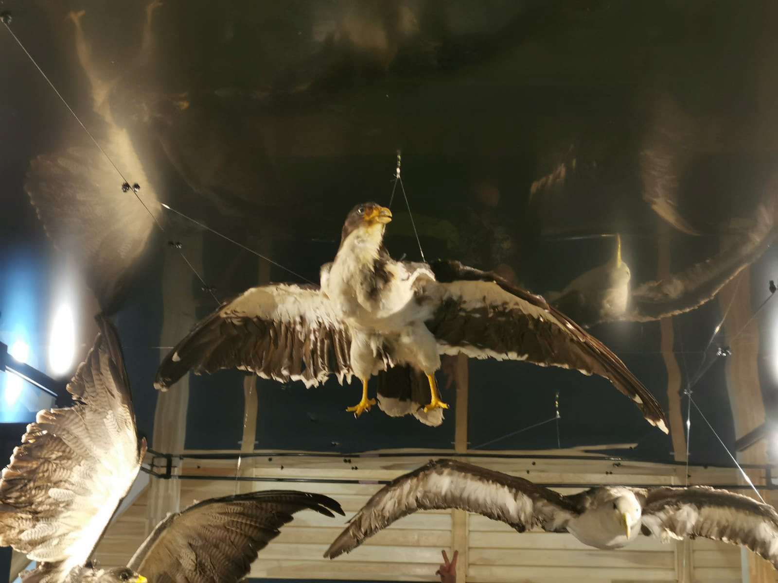 Museo Territorial Yagan Usi Martín González Calderón de Puerto Williams 2023.