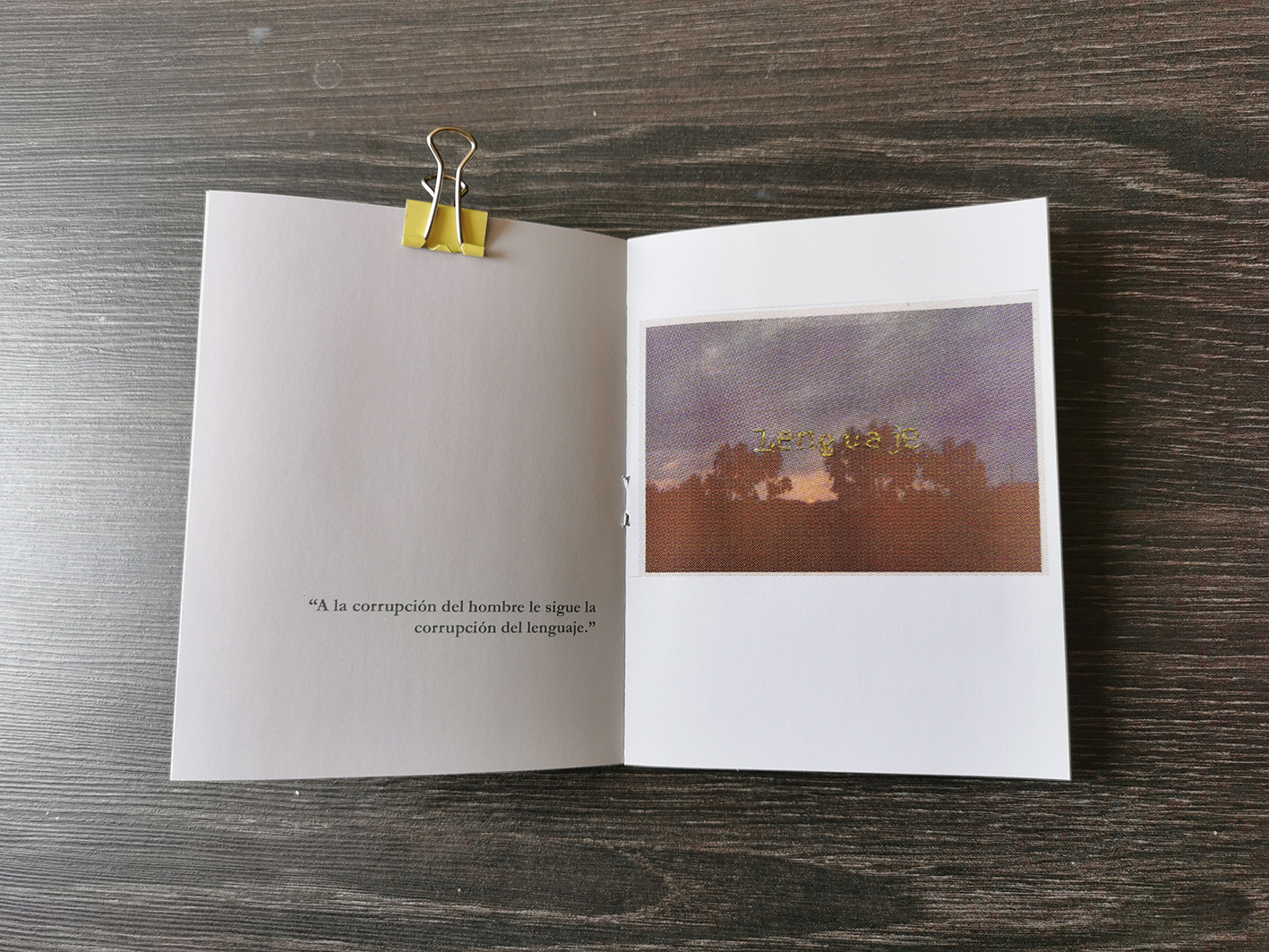 Fanzine de 12 páginas 13 x 10 cm. Tinta inkjet sobre papel fotográfico 80 grs. Primera edición 2019.
