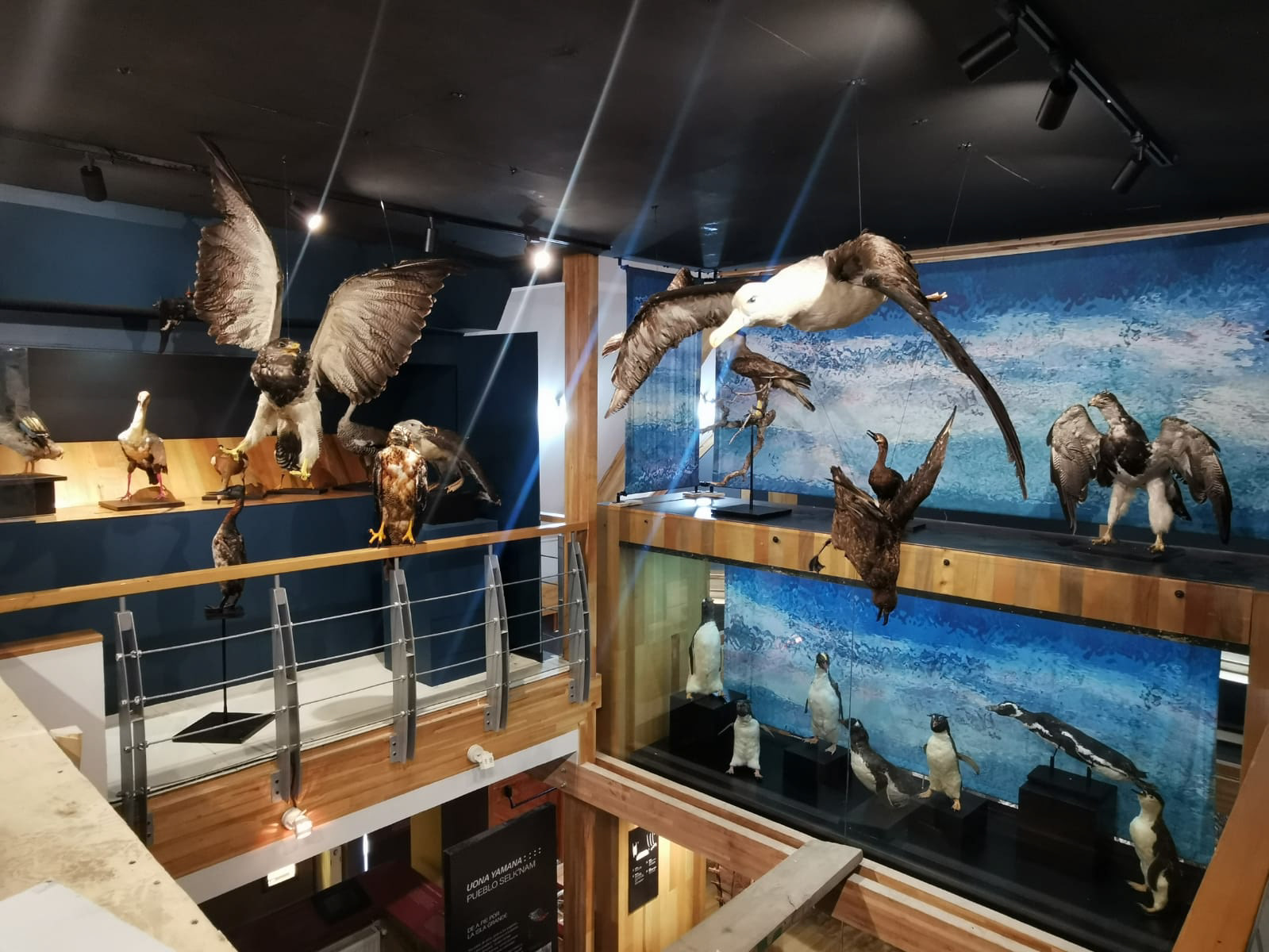 Museo Territorial Yagan Usi Martín González Calderón de Puerto Williams 2023.