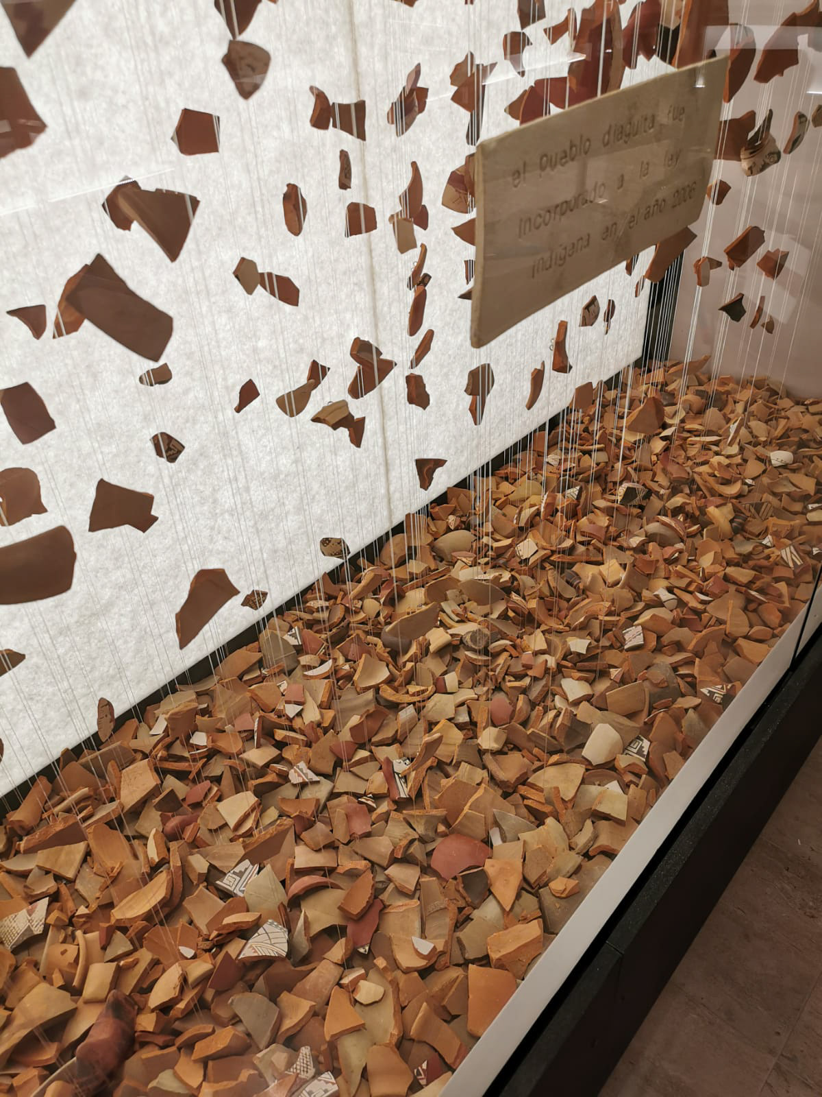 Museo Arqueológico de La Serena 2020.