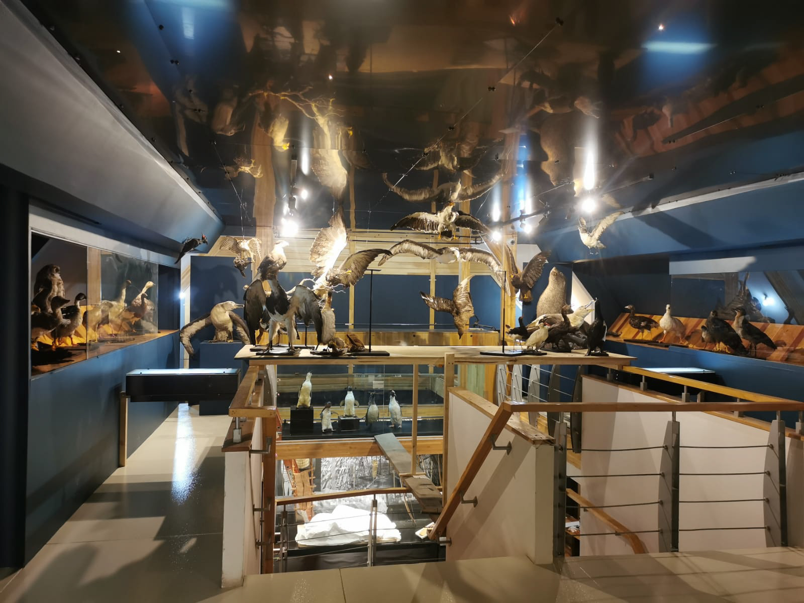 Museo Territorial Yagan Usi Martín González Calderón de Puerto Williams 2023.