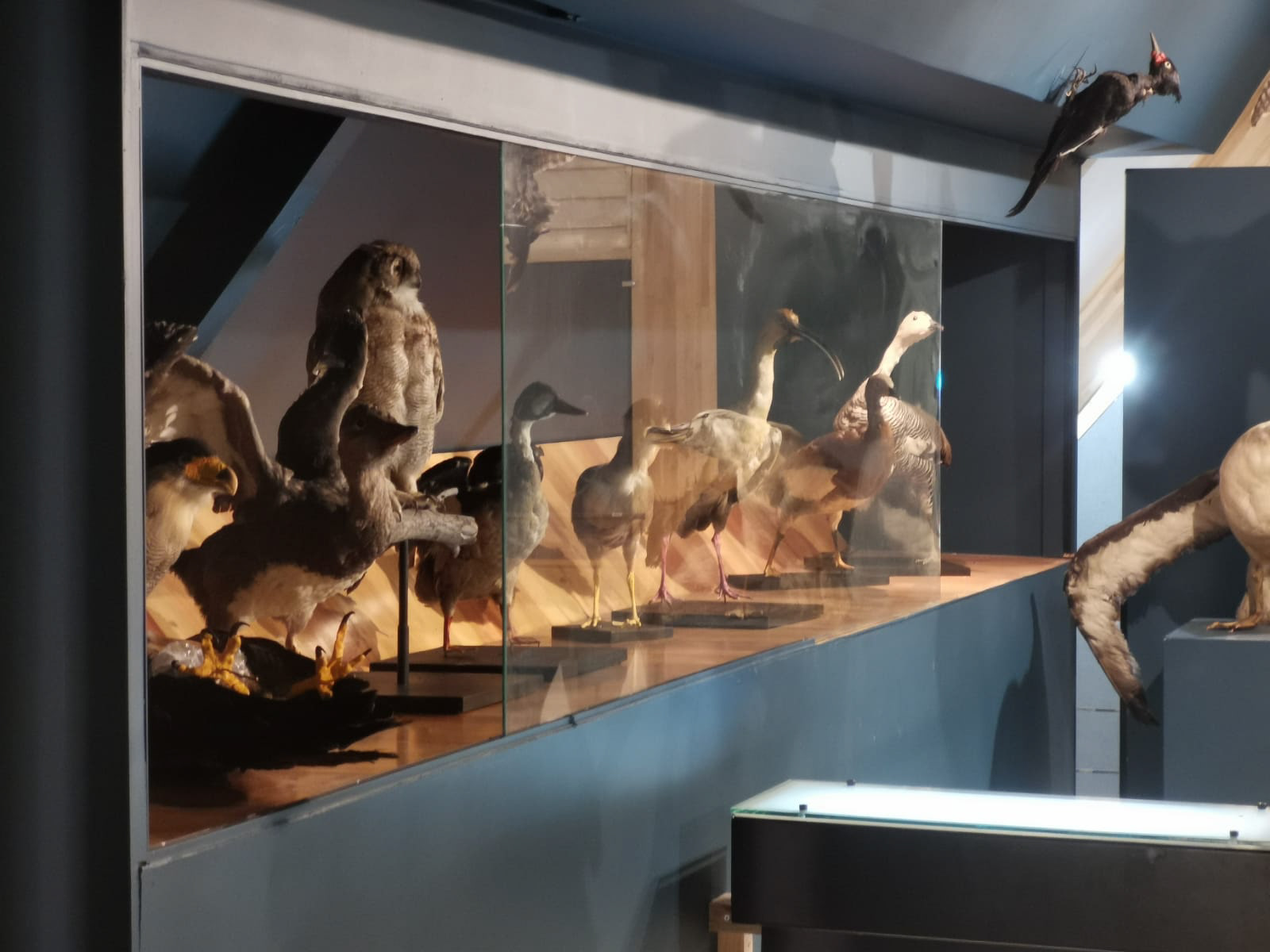 Museo Territorial Yagan Usi Martín González Calderón de Puerto Williams 2023.