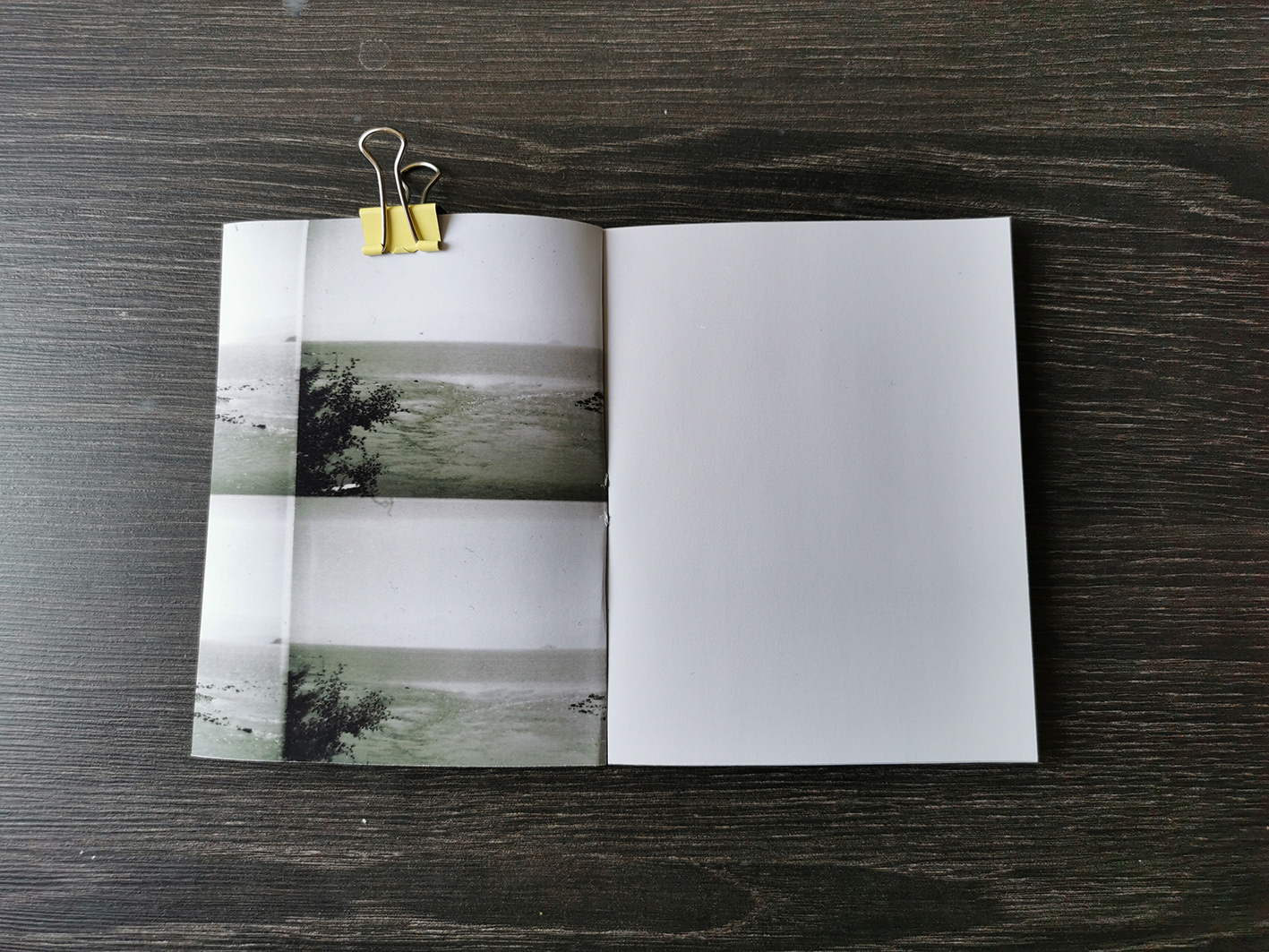 Fanzine de 12 páginas 13 x 10 cm. Tinta inkjet sobre papel fotográfico 80 grs. Primera edición 2019.