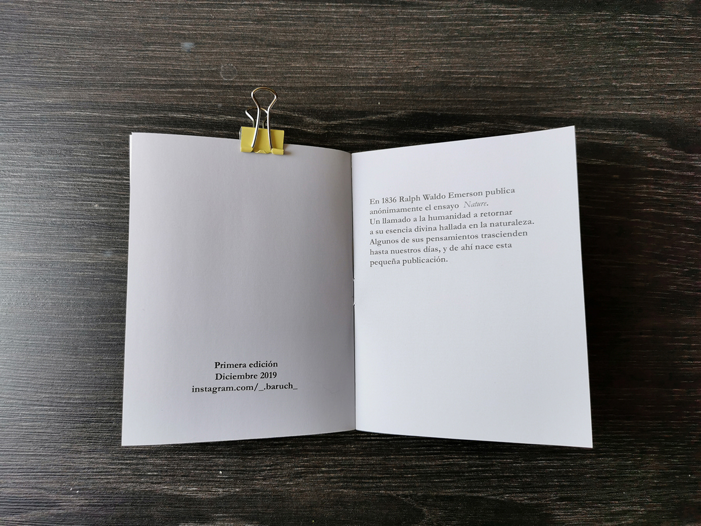 Fanzine de 12 páginas 13 x 10 cm. Tinta inkjet sobre papel fotográfico 80 grs. Primera edición 2019.