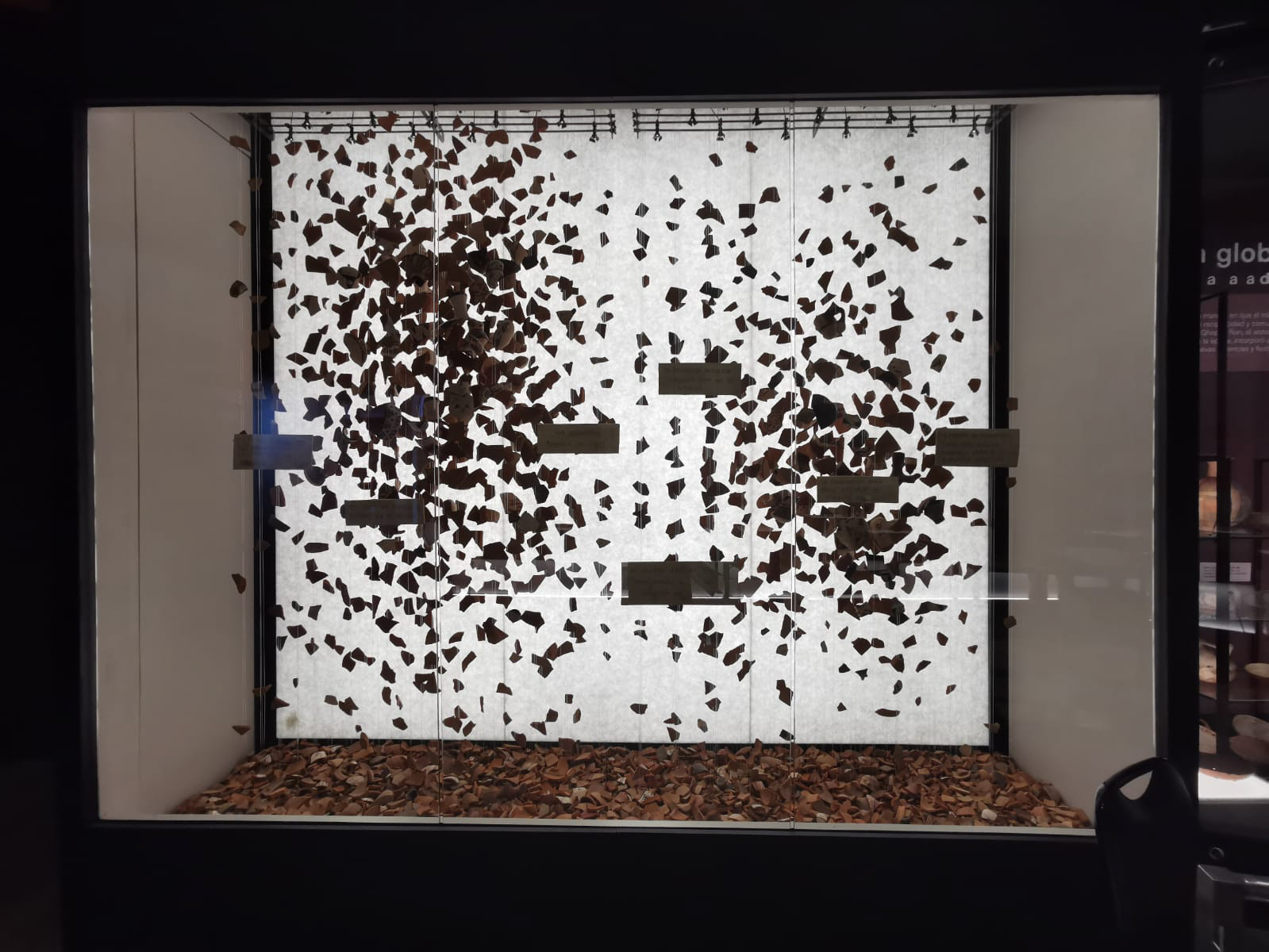 Museo Arqueológico de La Serena 2020.