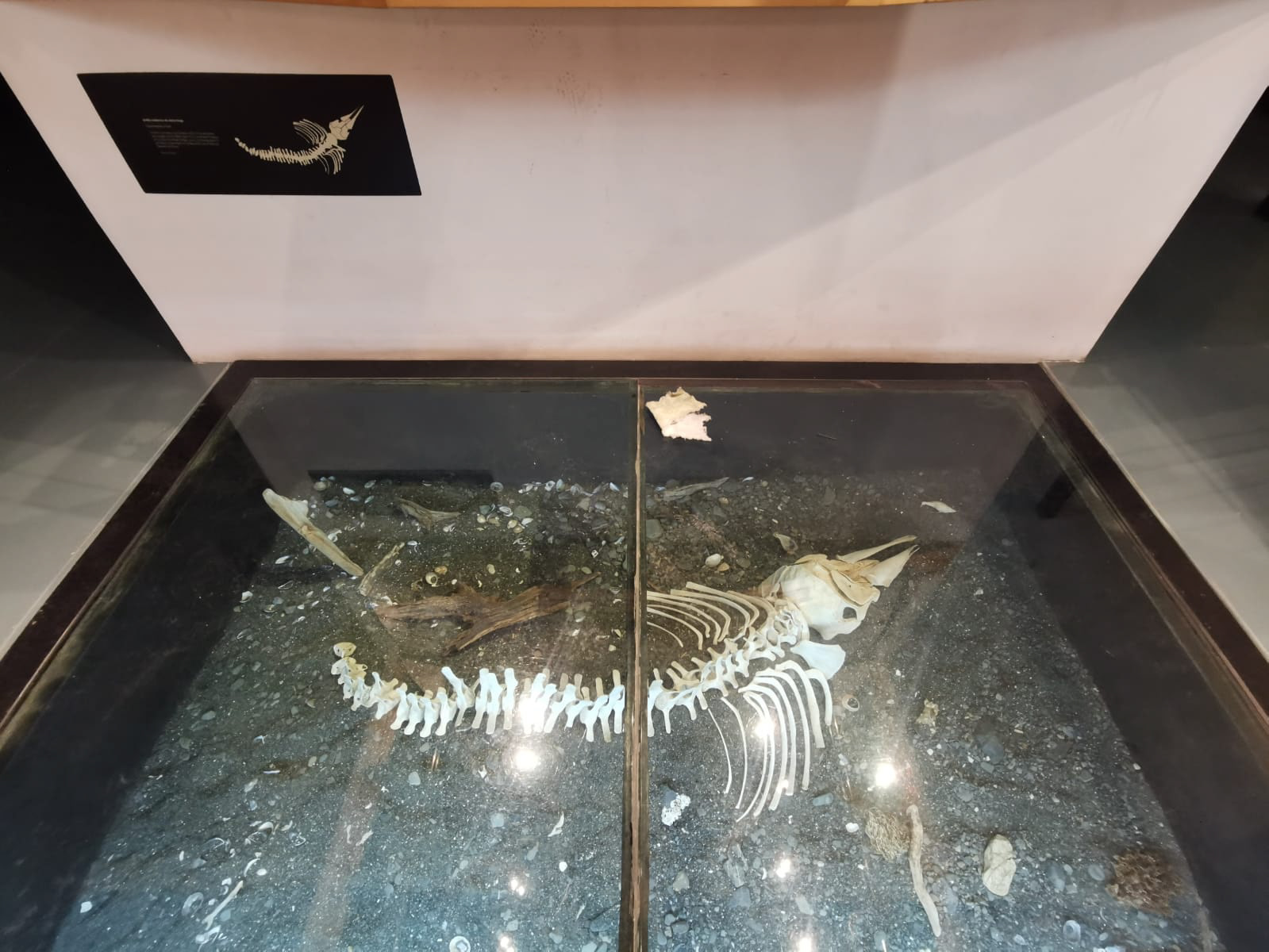 Museo Territorial Yagan Usi Martín González Calderón de Puerto Williams 2023.