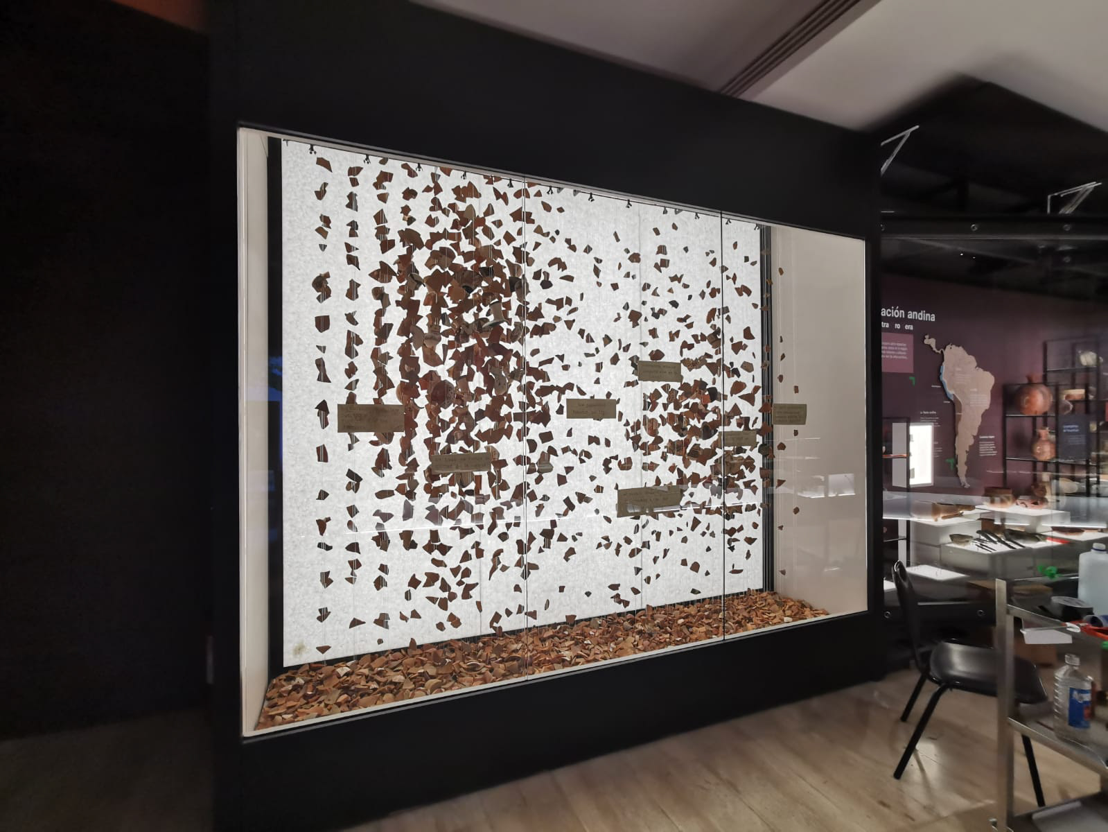 Museo Arqueológico de La Serena 2020.
