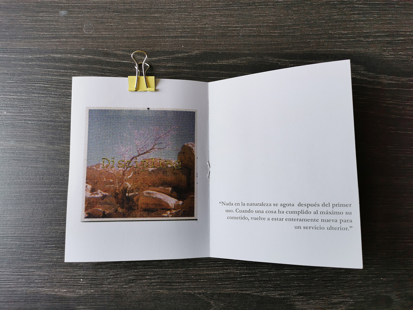 Fanzine de 12 páginas 13 x 10 cm. Tinta inkjet sobre papel fotográfico 80 grs. Primera edición 2019.