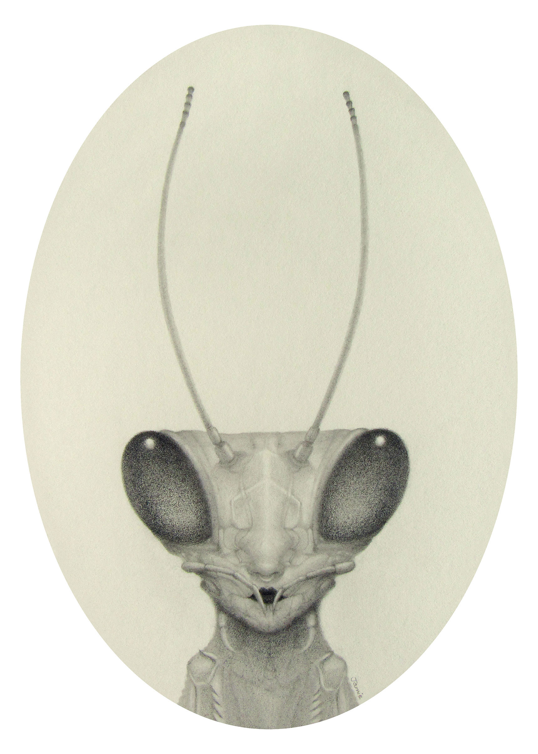 "Little Lady" graphite pencil on Stonehenge Natural Colored paper. 5 x 7 inches. 2020