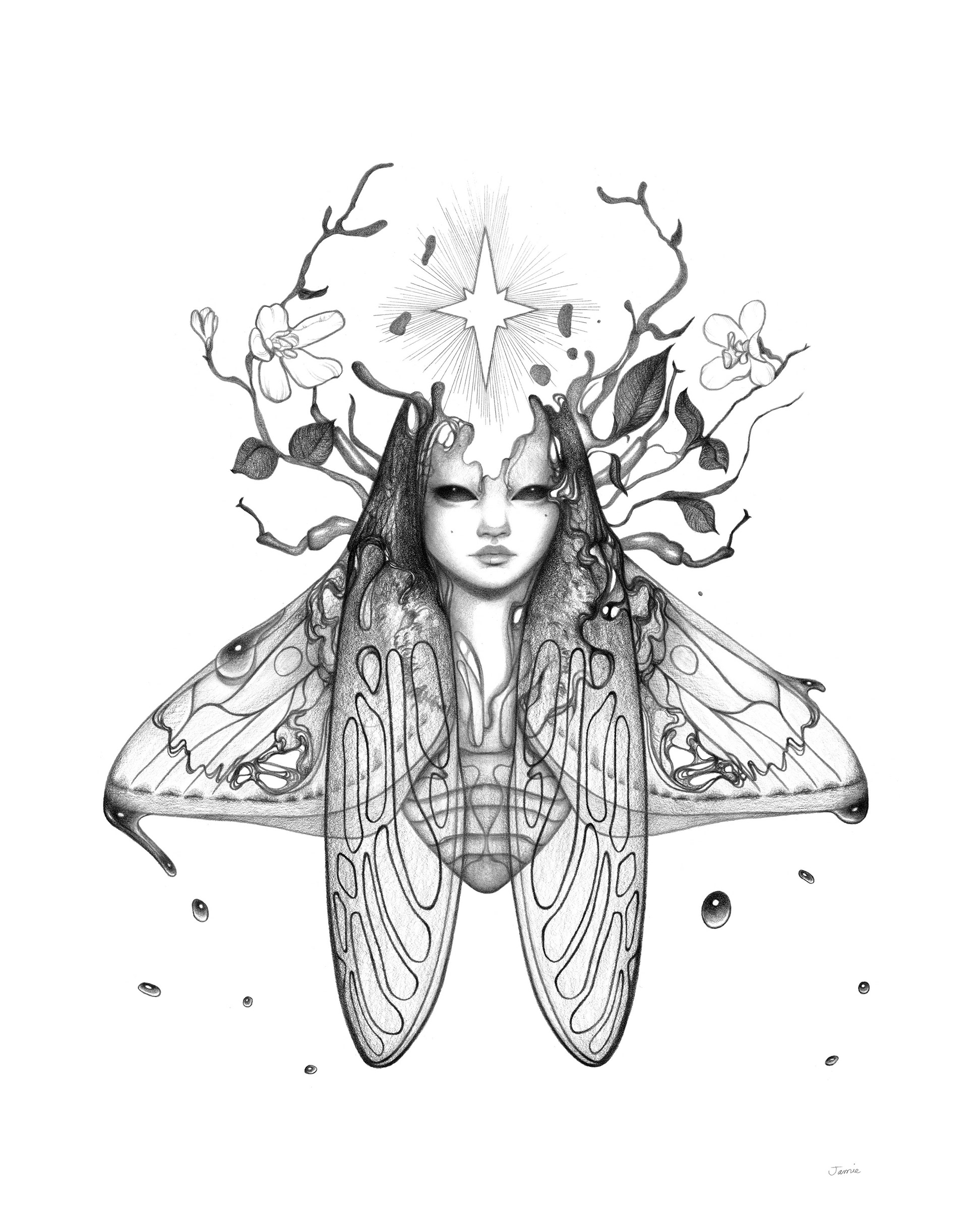 "The Star" graphite pencil on Bristol paper. 11 x 14 inches. 2022