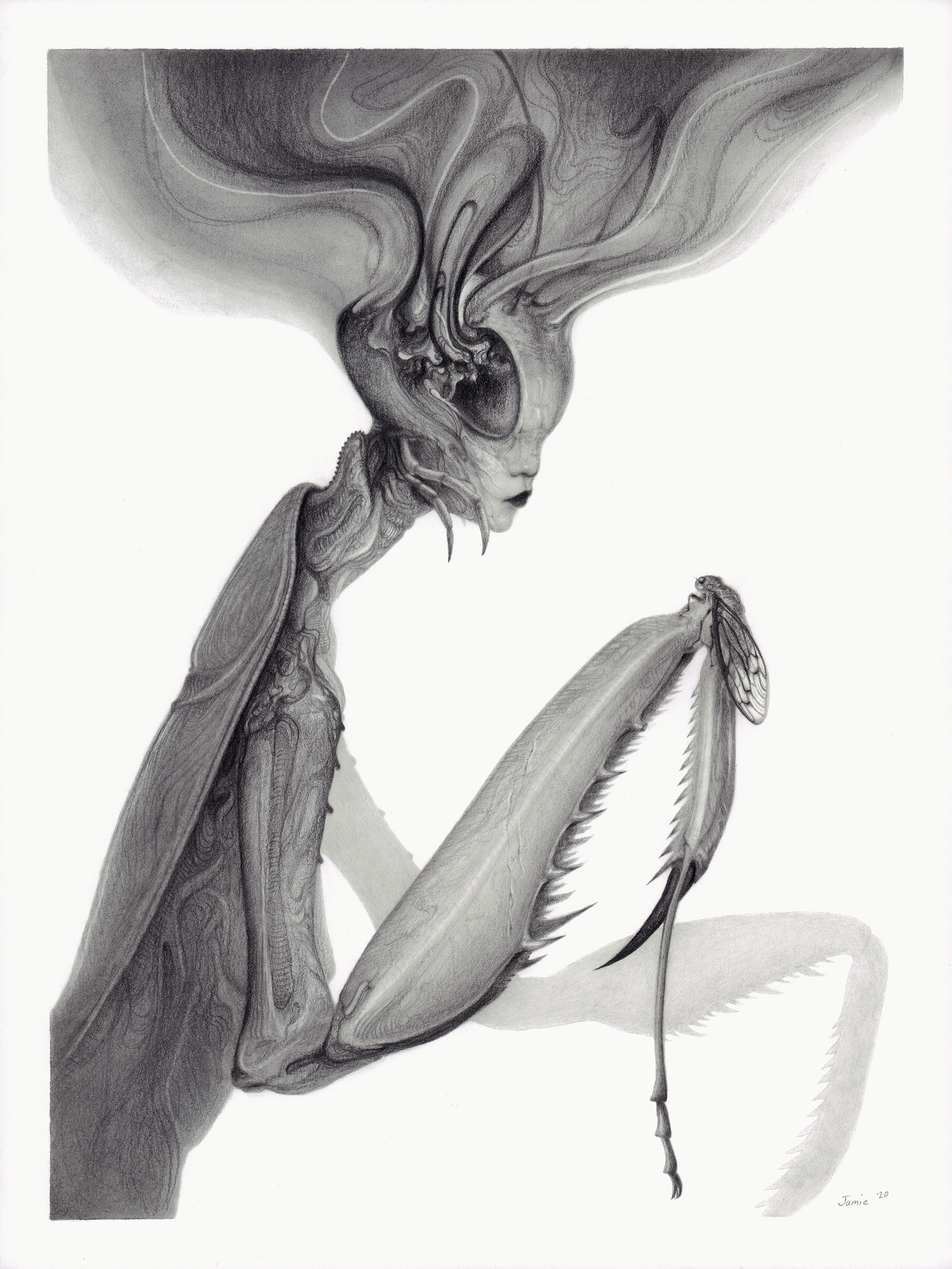 "Mantis" graphite pencil on Bristol paper. 9 x 12 inches. 2020