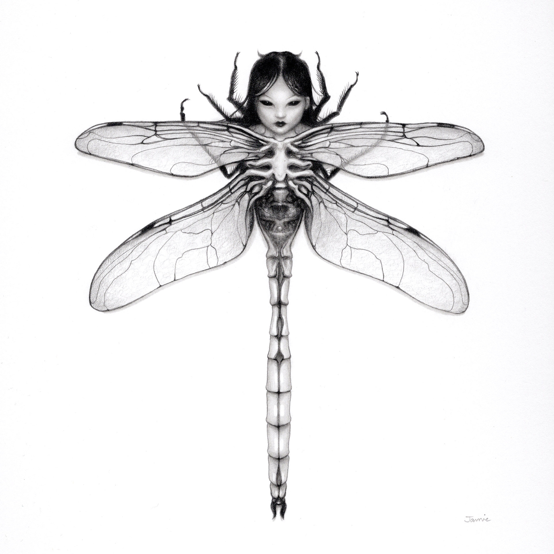 "Dragonfly" graphite pencil on Bristol paper. 8x8 in, framed and matted to 12.5 in x 12.5 in. 2022