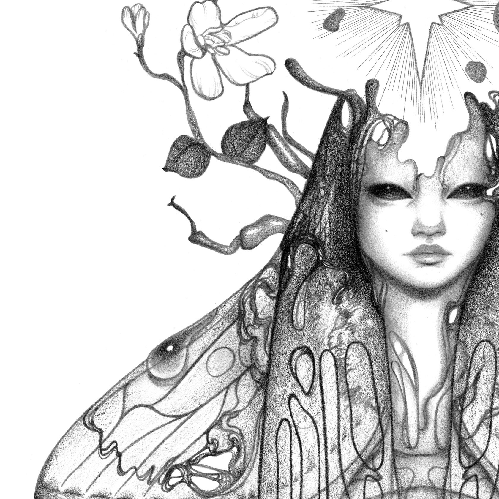 "The Star" graphite pencil on Bristol paper. 11 x 14 inches. 2022