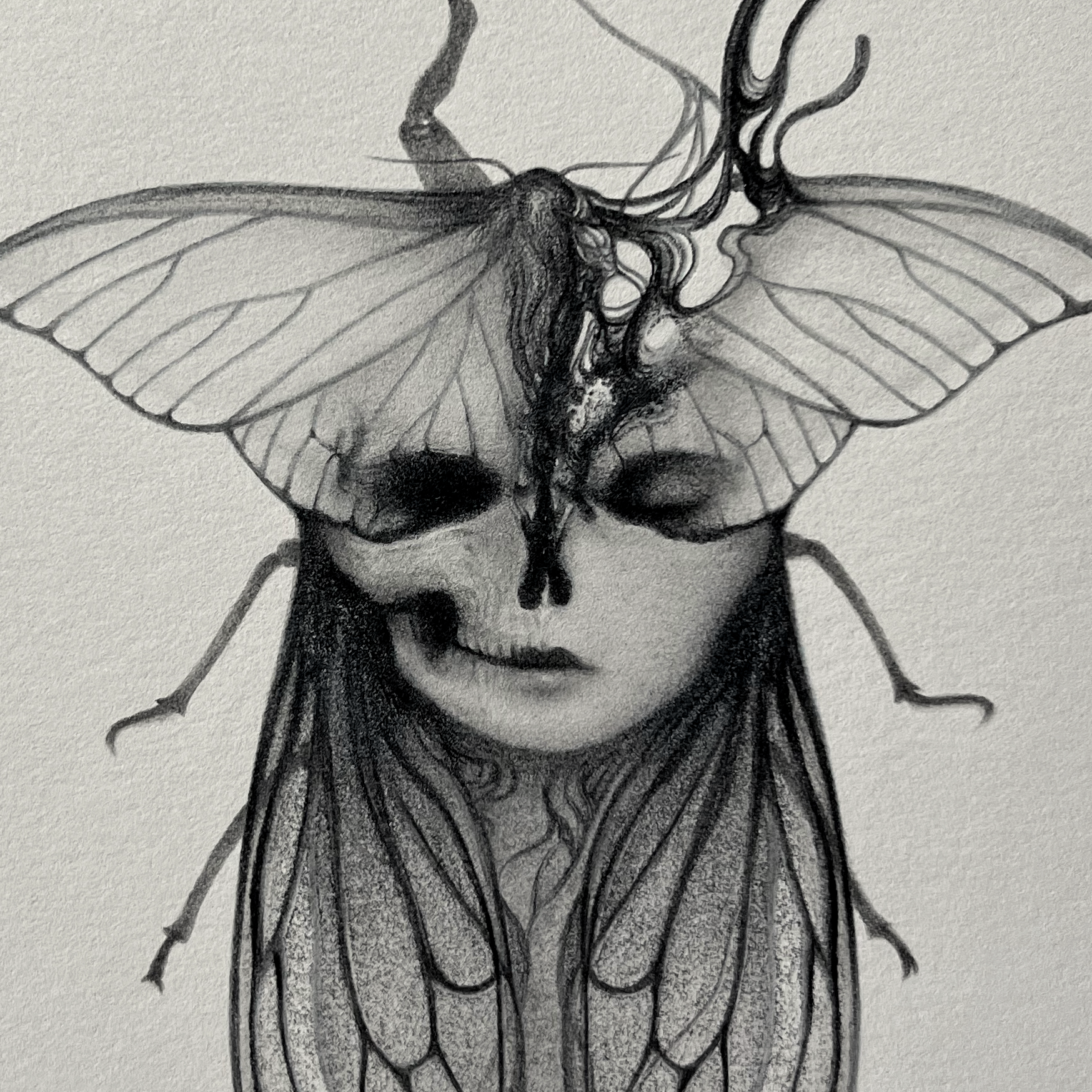 "Hel" graphite pencil on Stonehenge Pearl Grey paper. 5 x 7 inches. 2021