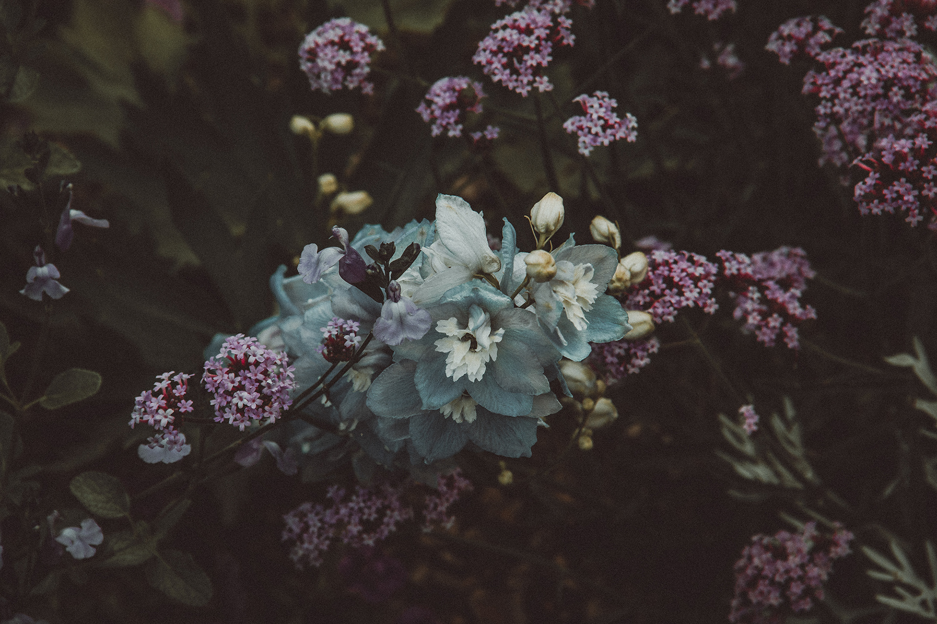 photo-ode-nature-floralies