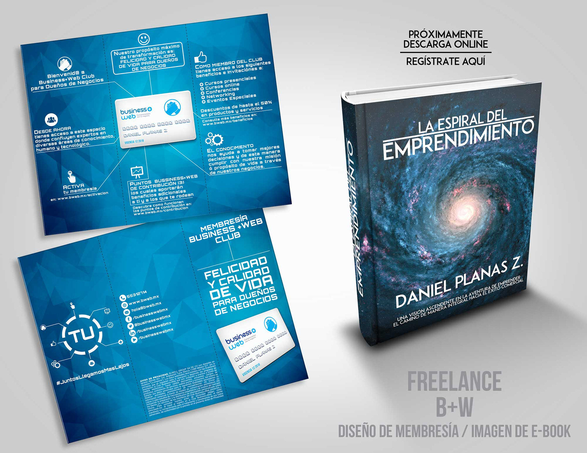 Business+Web Start Up How to. Membership, Flyer and E Book Design (2015).