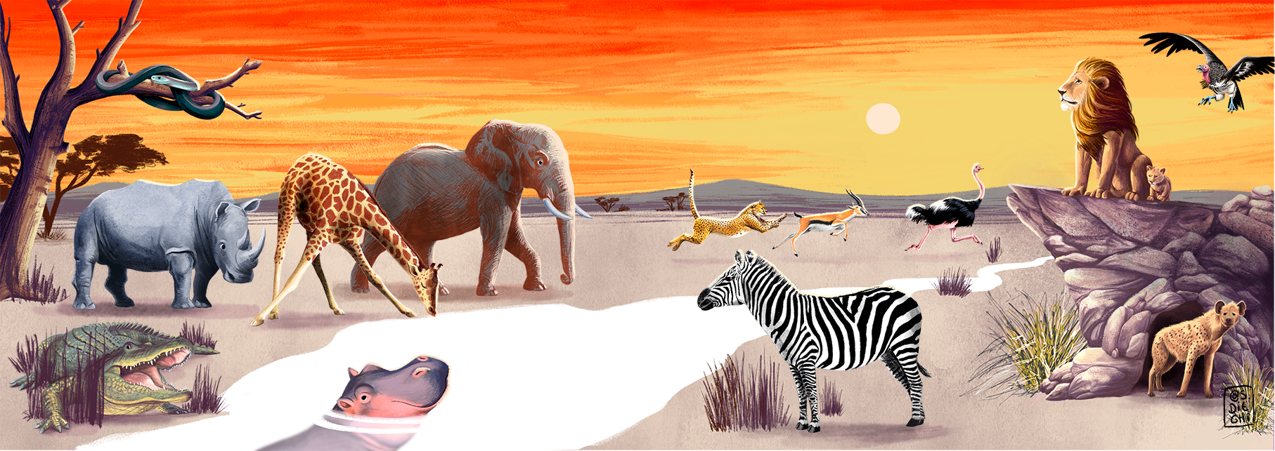 Ecosystem / Ecosistema