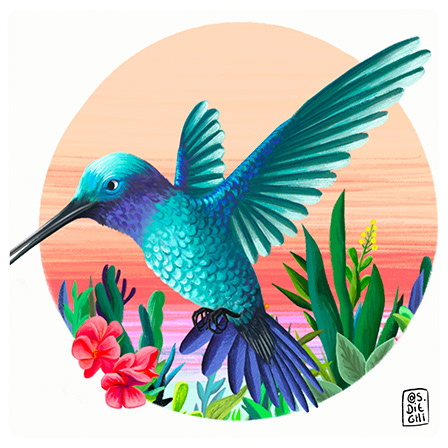 picaflor/hummingbird