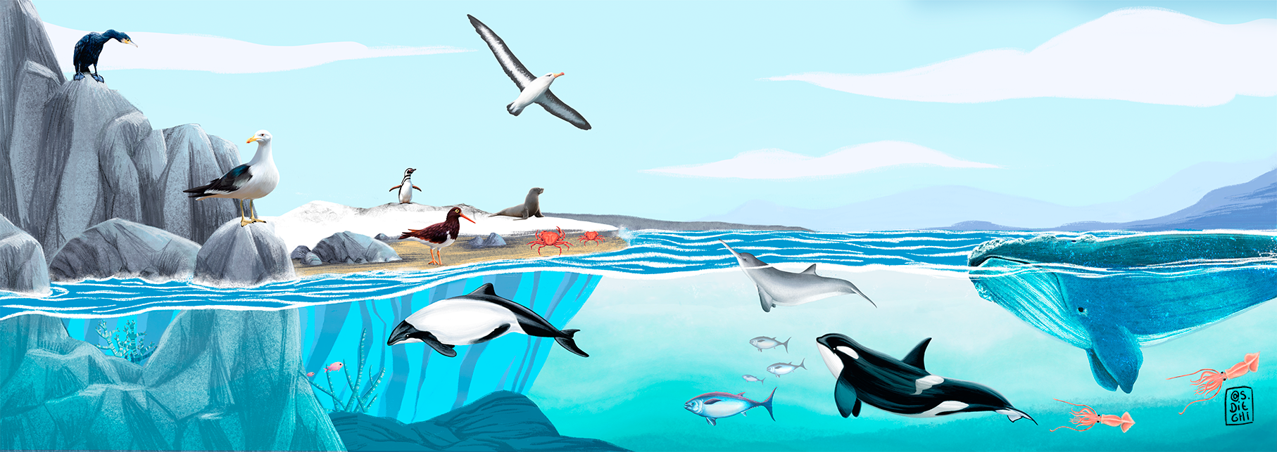 Ecosystem / Ecosistema