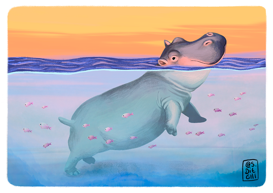 Hippopotamus / Hipopótamo