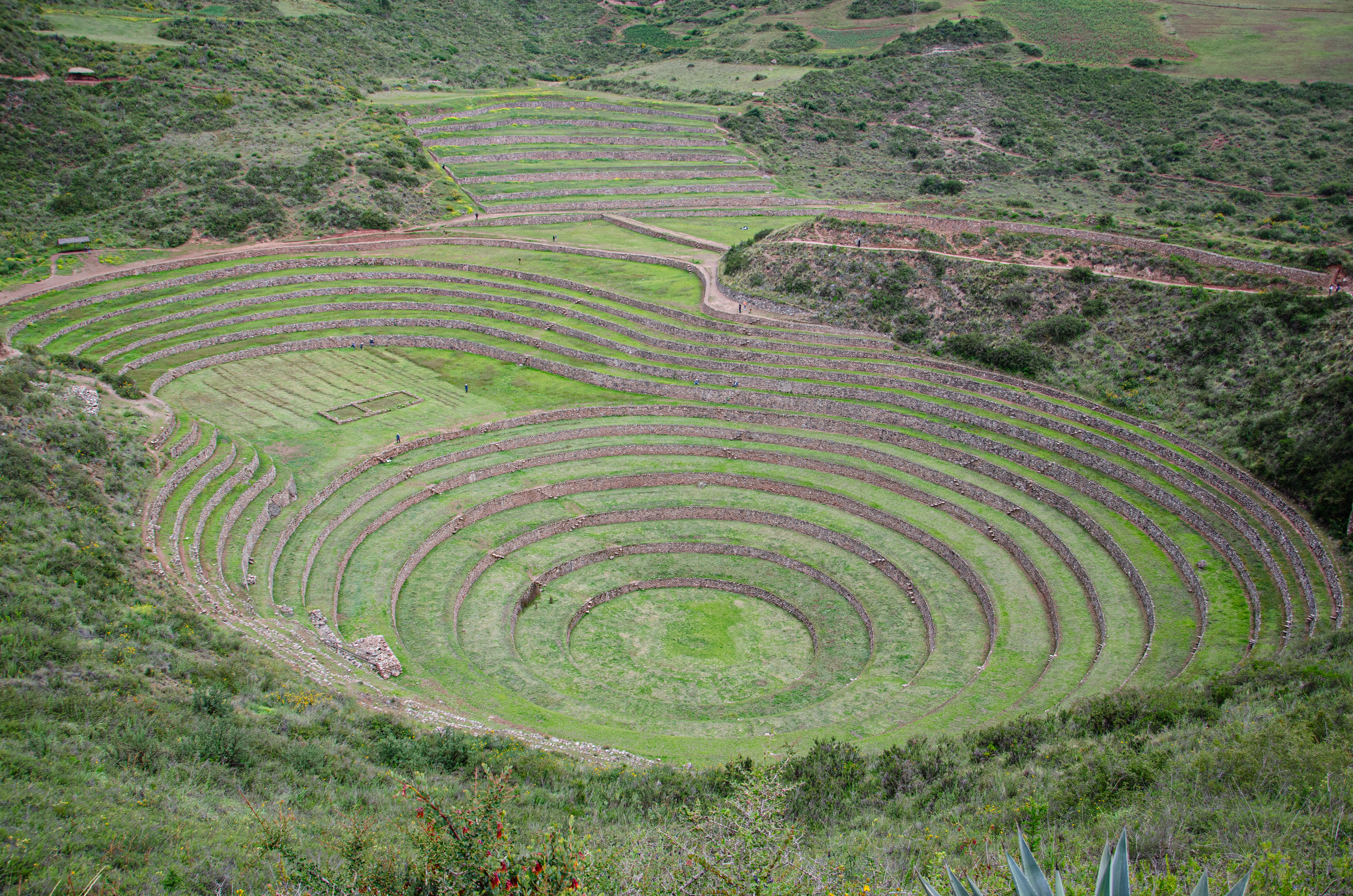 Moray