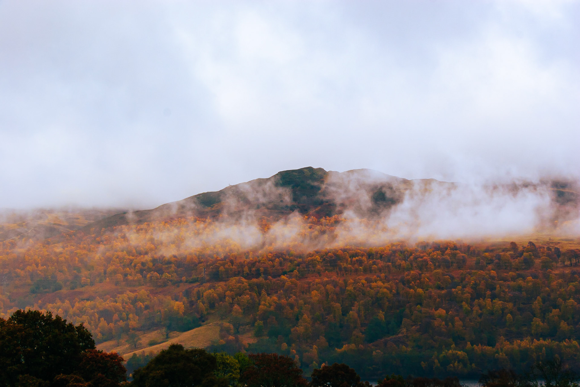 Low cloud over Perthsihire forest