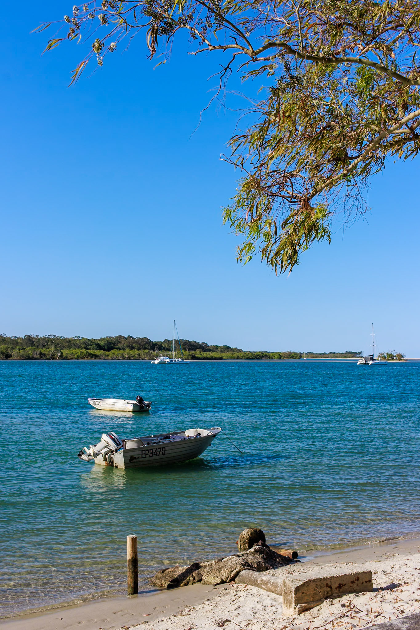 Noosa River