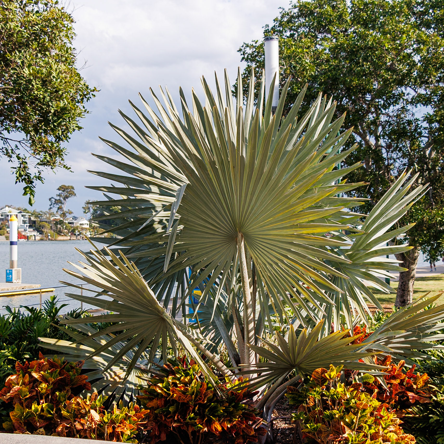 New Farm Park