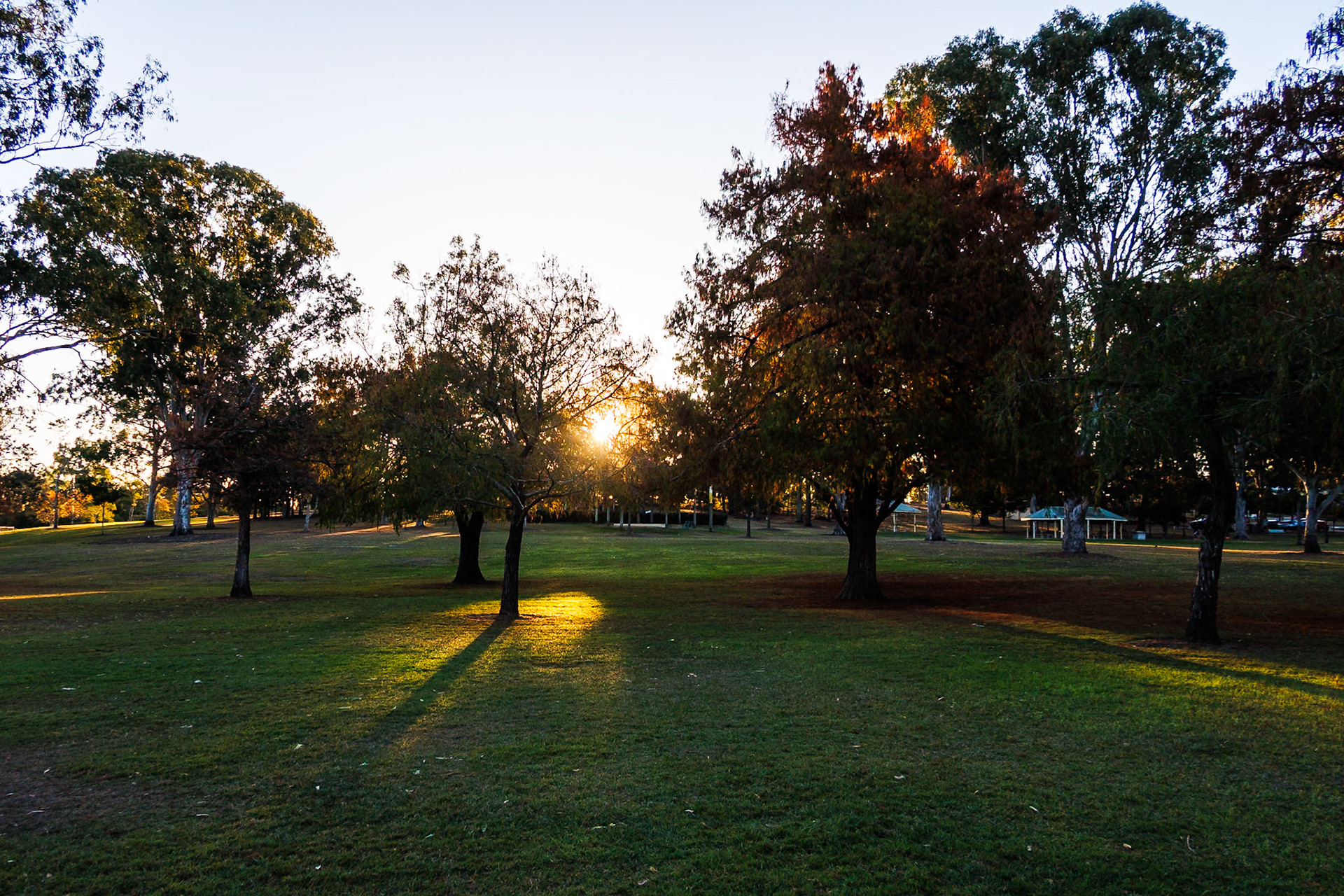 Teralba Park