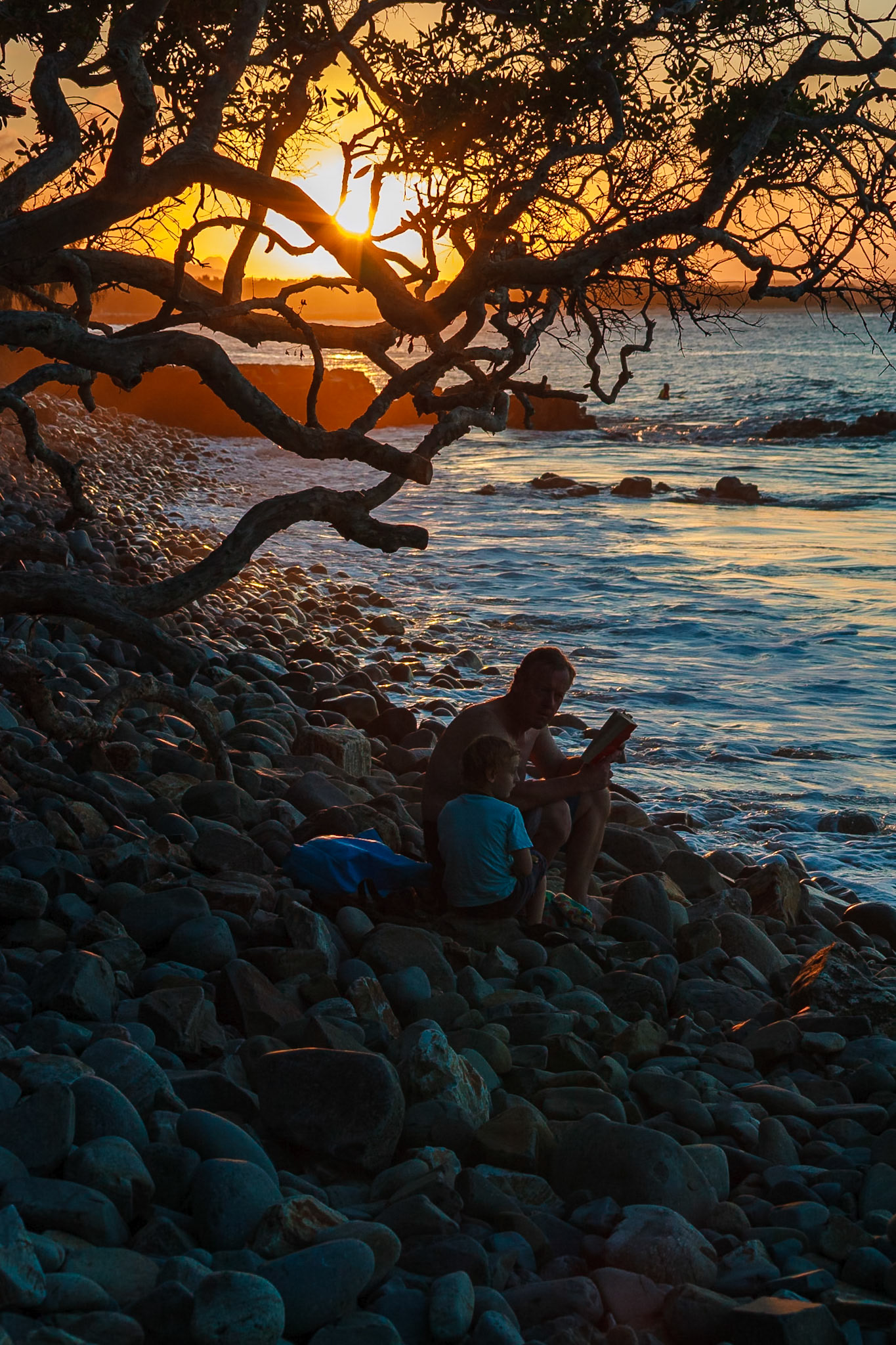 Sunshine Coast, QLD