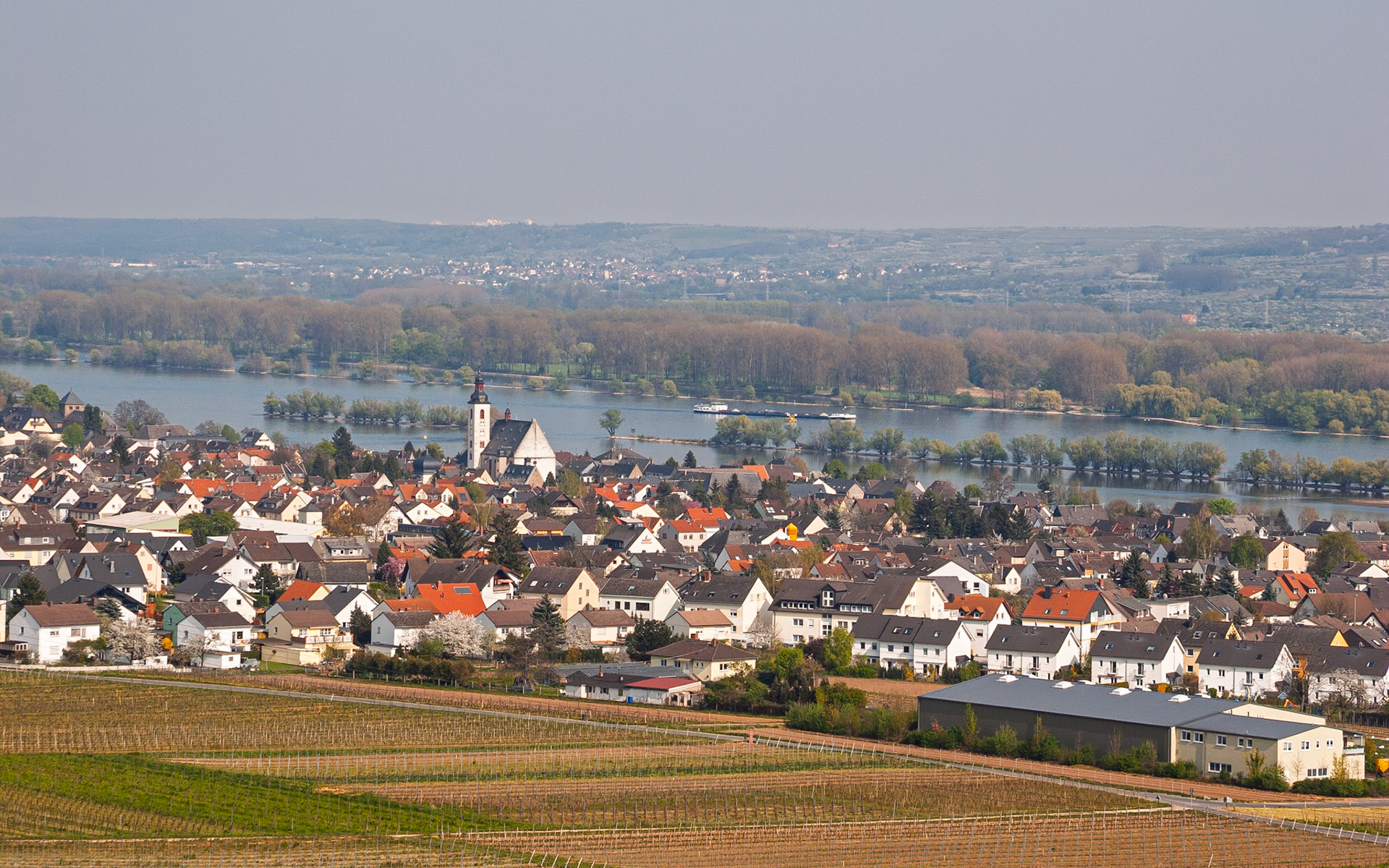 Rheingau