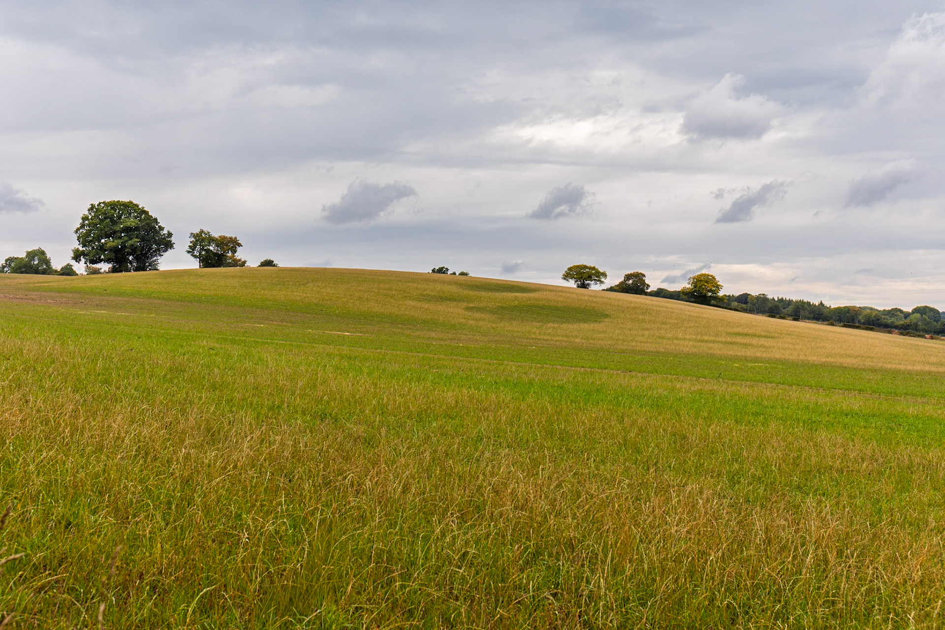 Green Hills of Bucks