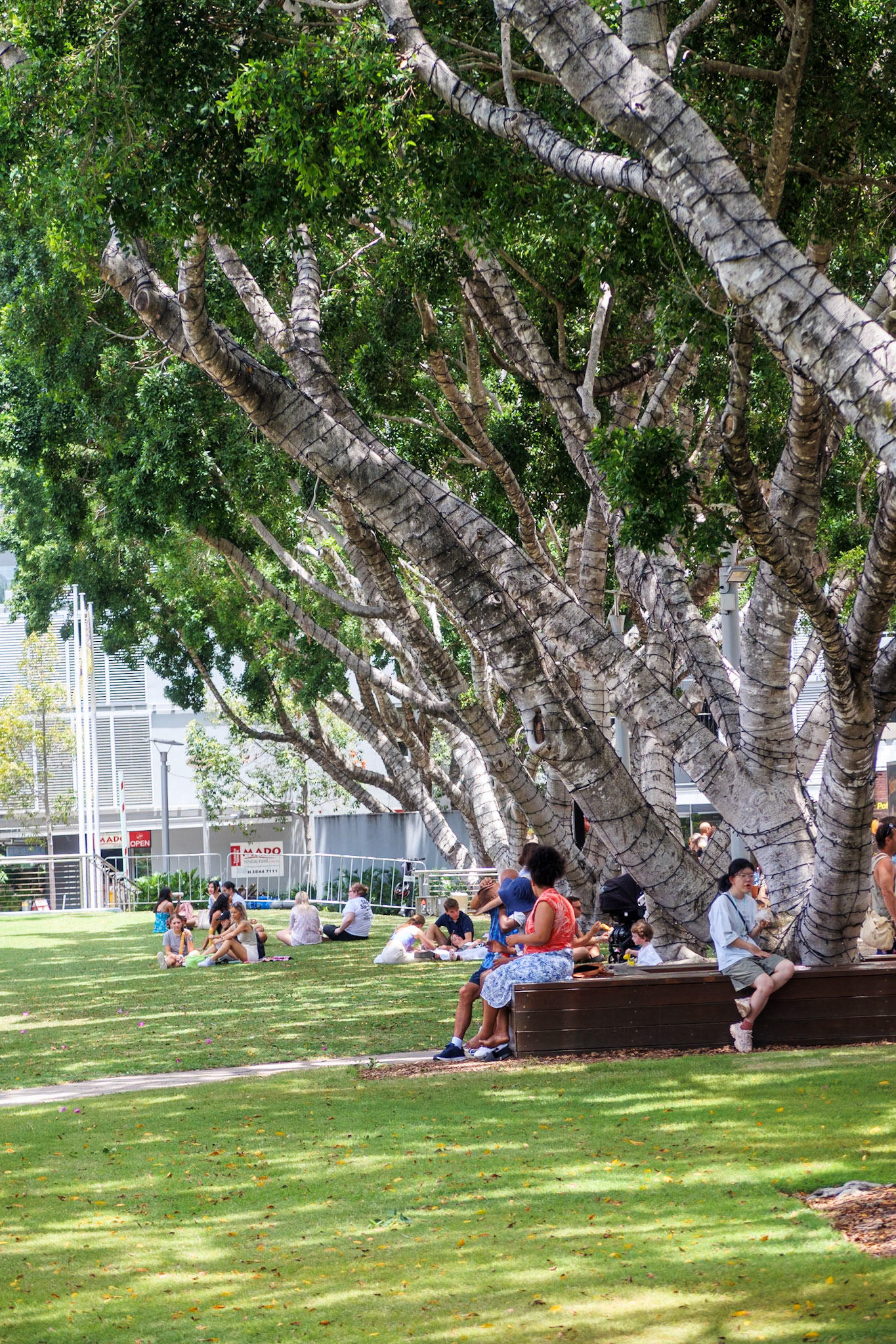 South Bank, Brisbane