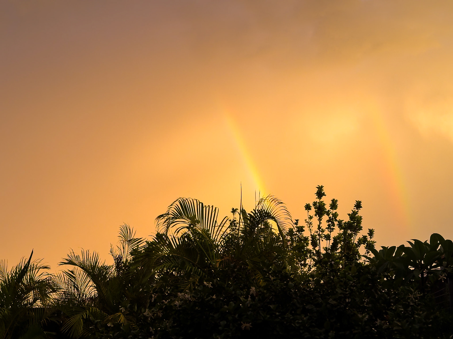 After the storm