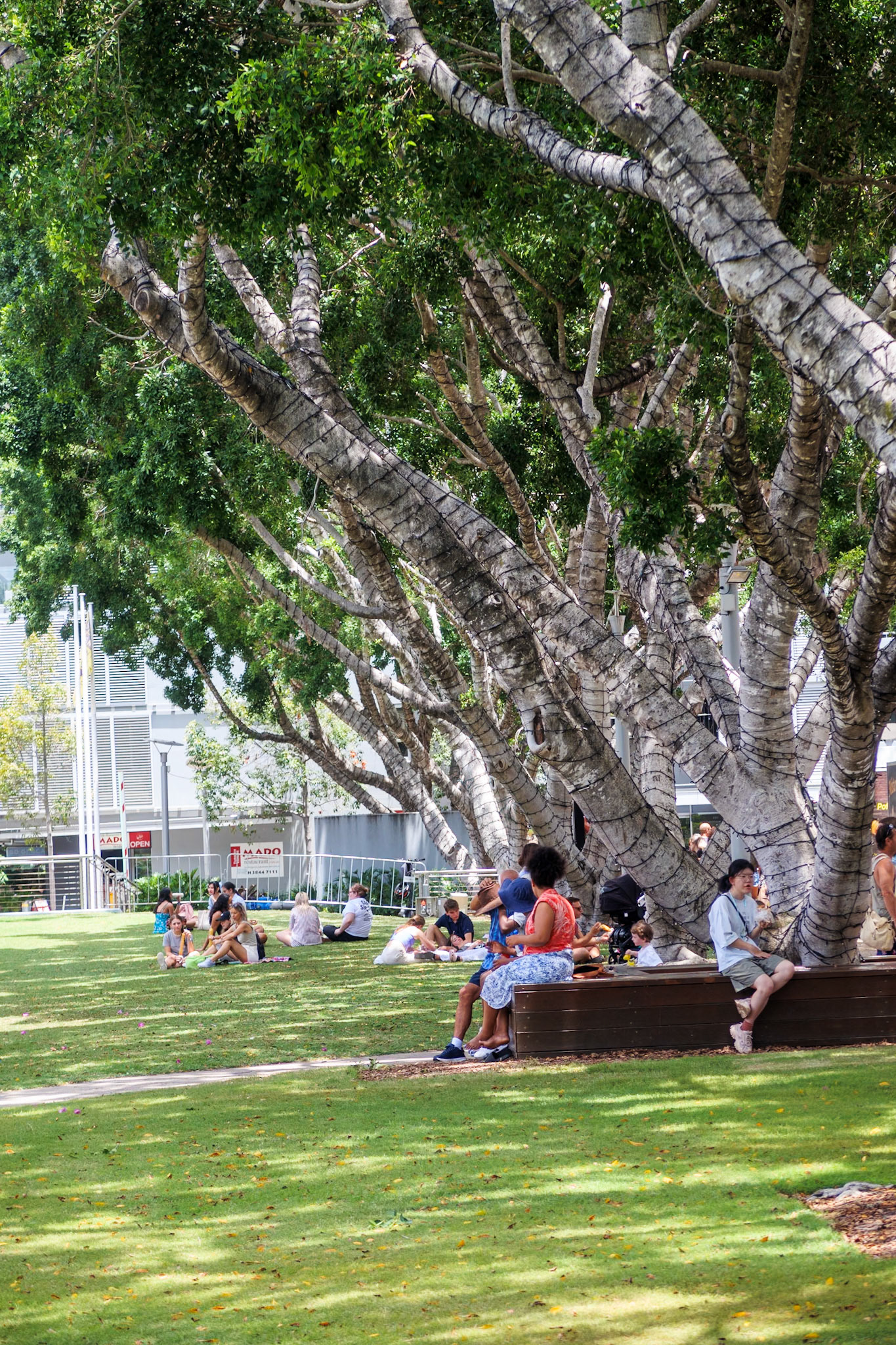 South Bank, Brisbane