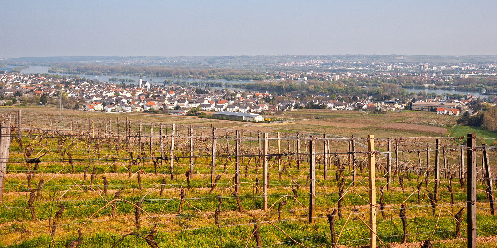 Rheingau