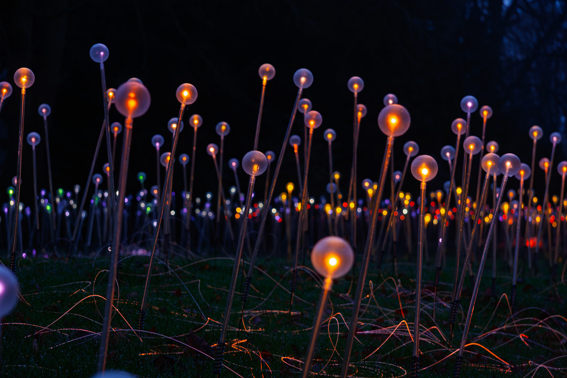 Light Installation at Waddesdon