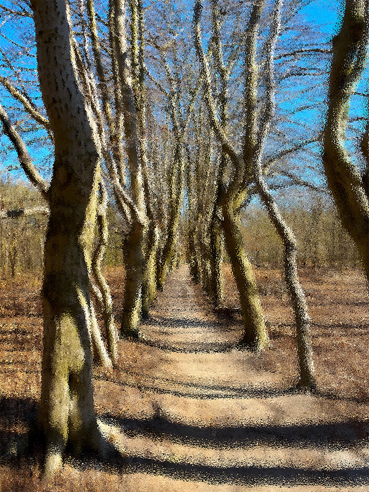 Landgoed Beerschoten, een Digitaal kunstwerk van Ruud van den Berg aka Domstad Rudie