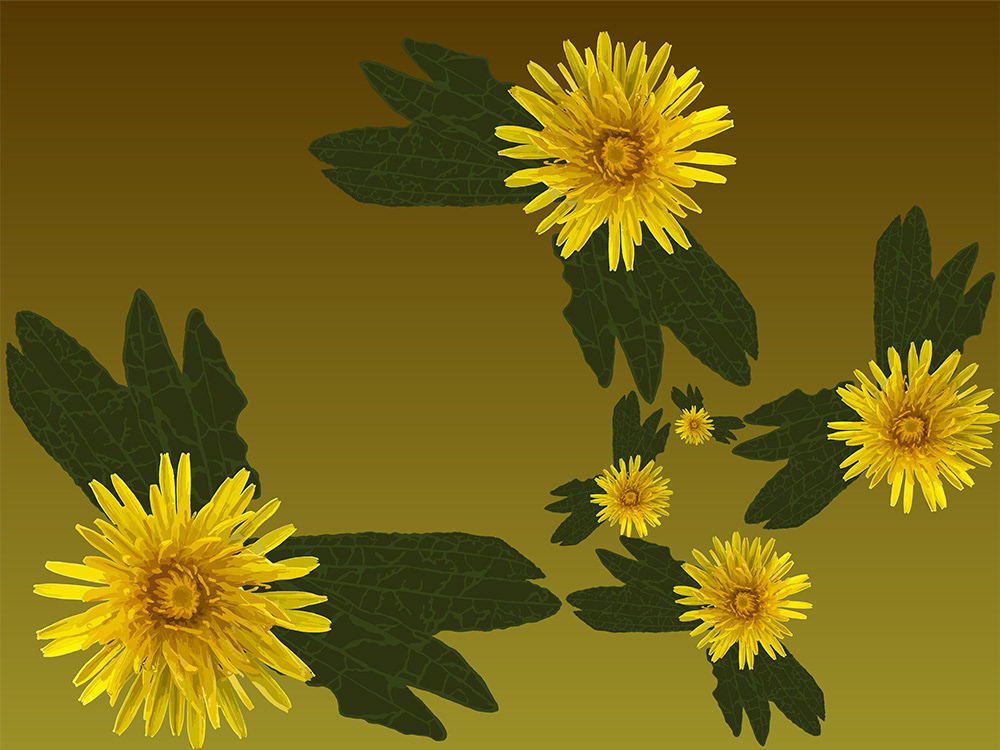 169. Fibonacci paardenbloemen; Vector Art = iPad kunst/tekening van Ruud van den Berg aka Domstad Rudie