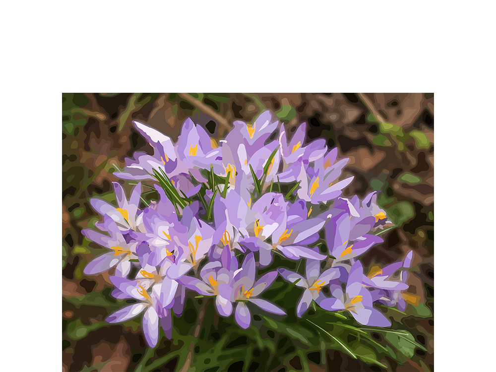 Spring is in the air