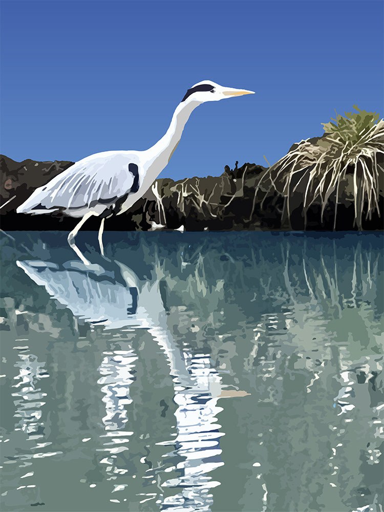 Blauwe reiger, een Digitaal kunstwerk van Ruud van den Berg aka Domstad Rudie
