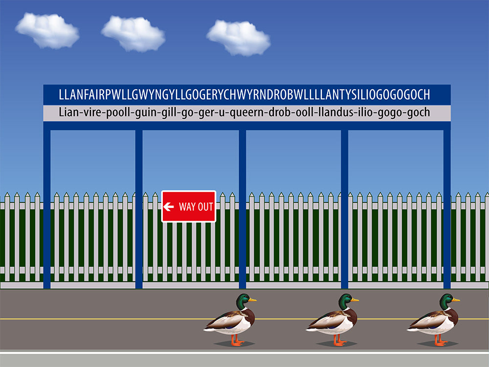 Darned Ducks, een Digitaal kunstwerk van Ruud van den Berg aka Domstad Rudie