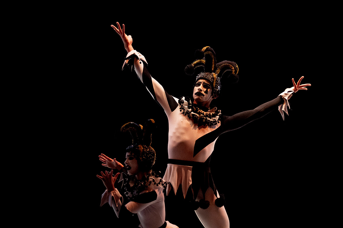 Swan Lake, buffoons