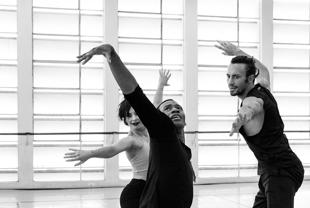 Swan Lake: Buffoons