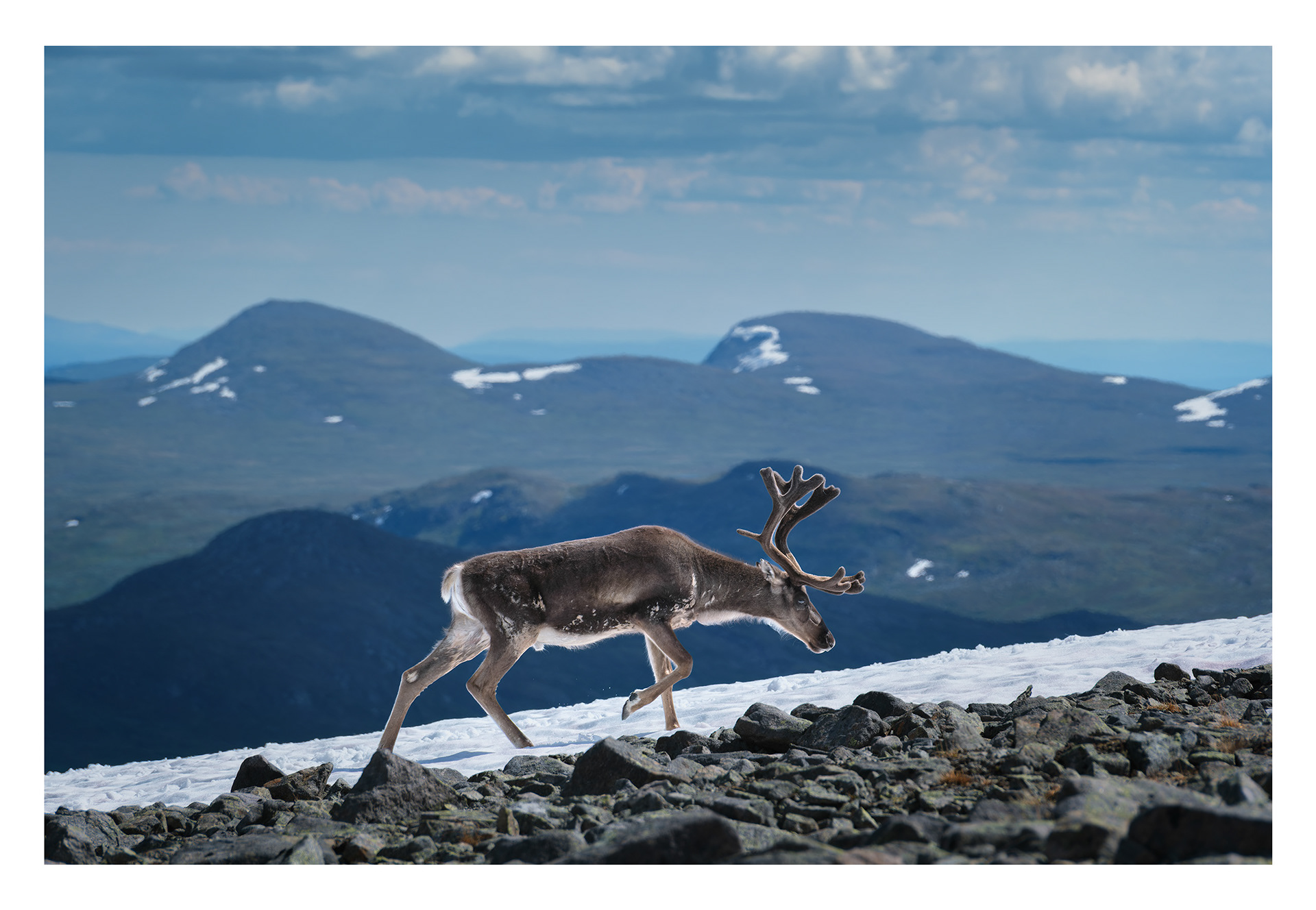 119. På veg til Besseggen.