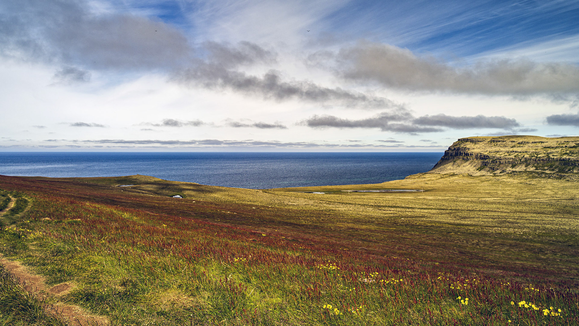 Iceland | Vestfirðir | 65°30' N 24°31' W