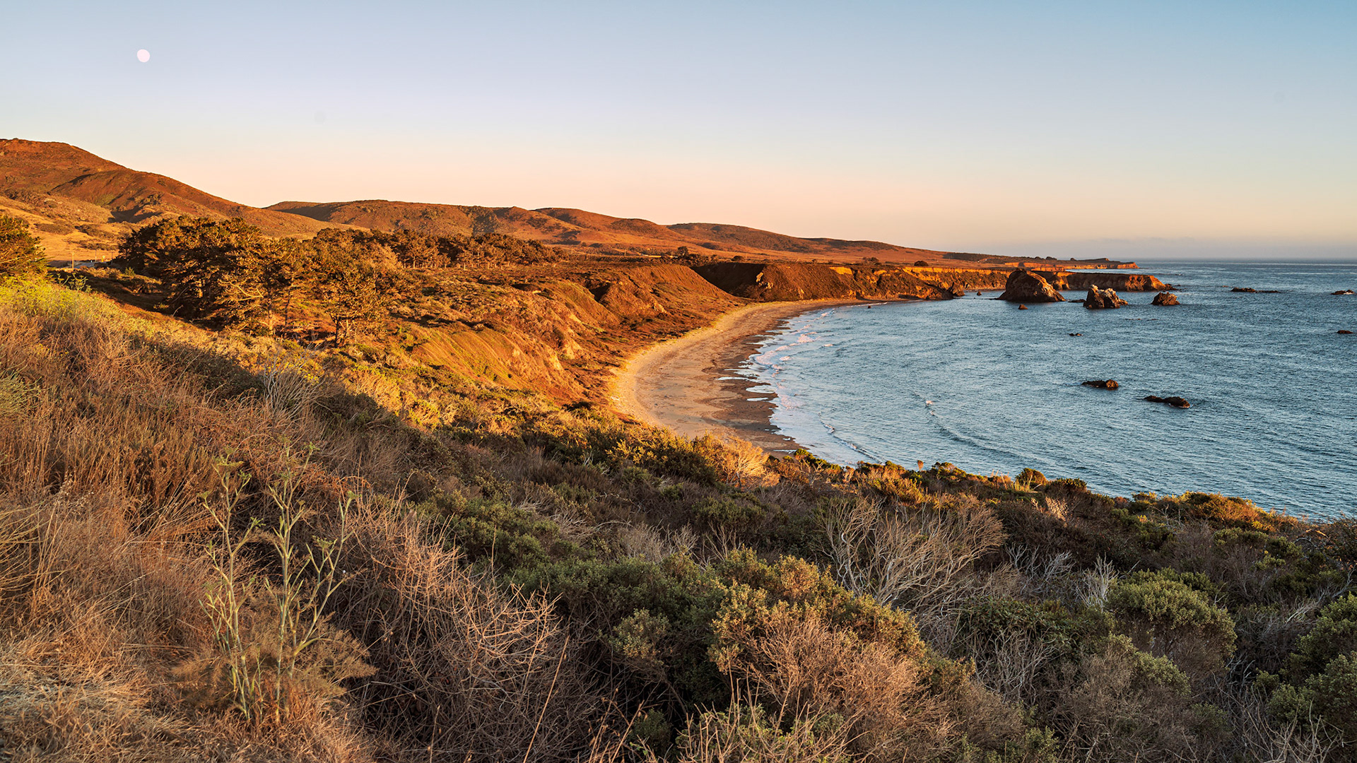 USA | California