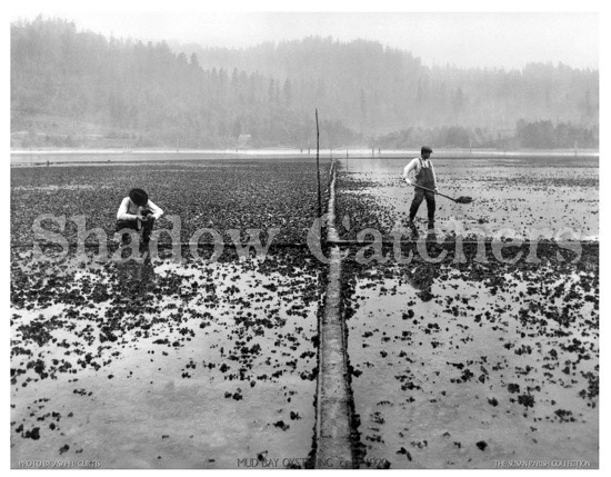 #BOC-02 "OYSTERMEN BAGGING OYSTERS FOR SHIPPING"